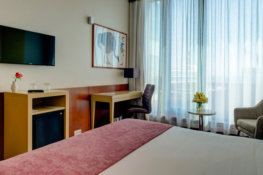 VIP Executive Arts Hotel 4*