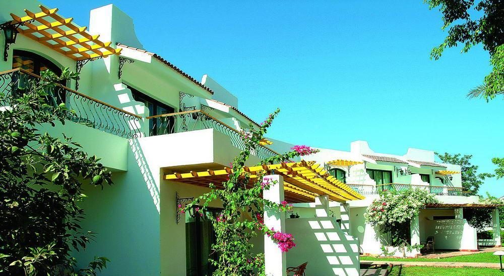 Lotus bay 4 сафага