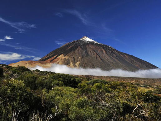 ..����� ���� - �� ��� �� ���������� �� �������!