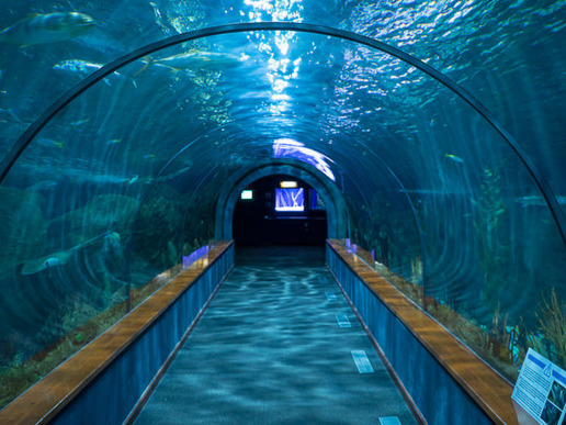 ������ "����" � �������� ���� ��� �� ����������, �� � ������� ���������� � �������� ������������ �� � ���������� ��������.