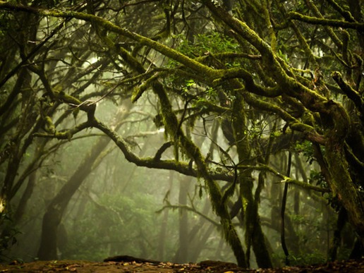 ���������� ���� "���������" � ������� � ������� �� ���������� ���������� �� ������. �� ����������� �� �� ��������� ���� �� ���������� ������� ���� � �����.