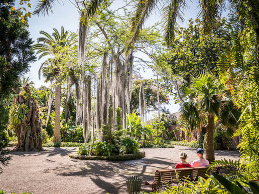 На пешеходно разстояние от хотела са Ботаническата градина, посторена още през 18 век, с площ над 20 000 m2...
