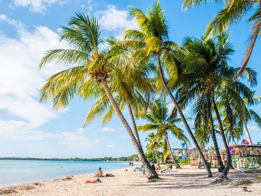 ���� ����� � ������ �� ���������