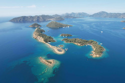 ����� � ���� � ������� ���� ����� - ������ - 12 ������� � 8 ��� / 7 ������� 2026