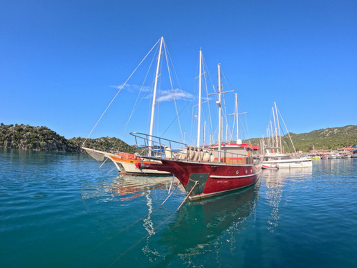 ����� � ���� � ������� ���� ����� - ������ - 12 ������� � 8 ��� / 7 ������� 2026 - ����������� - ������ 1