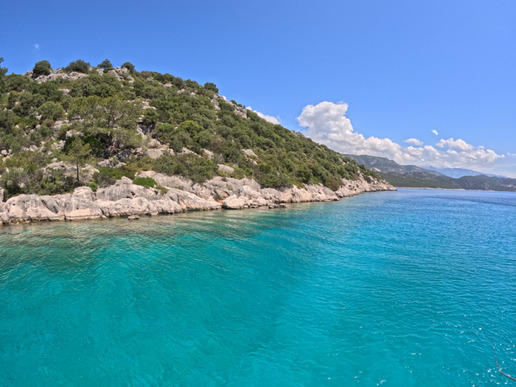 ����� � ���� � ������� ���� ����� - ������ - 12 ������� � 8 ��� / 7 ������� 2026 - ����������� - ������ 24