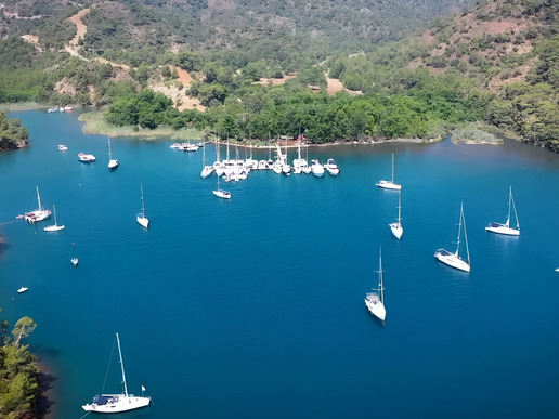 ����� � ���� � ������� ���� ����� - ������ - 12 ������� � 8 ��� / 7 ������� 2026 - ����������� - ������ 33