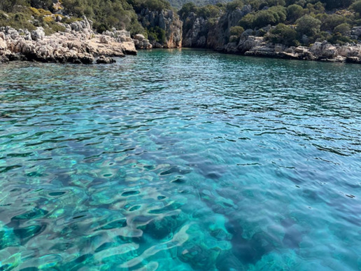 ����� � ���� � ������� ���� ����� - ������ � 4 ��� / 3 ������� 2026 - ����������� - ������ 10