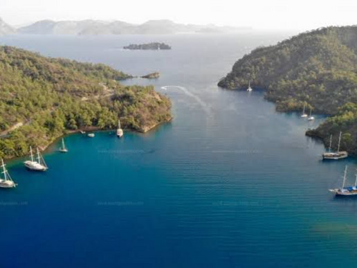 ����� � ���� � ������� ���� ����� - ������ � 4 ��� / 3 ������� 2026 - ����������� - ������ 23