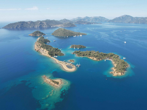 ����� � ���� � ������� ���� ����� - ������ � 4 ��� / 3 ������� 2026 - ����������� - ������ 26