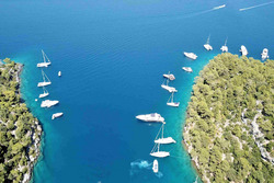 ����� � ���� � ������� ���� ������ - 12 ������� - ����� - 5 ��� / 4 ������� 2026