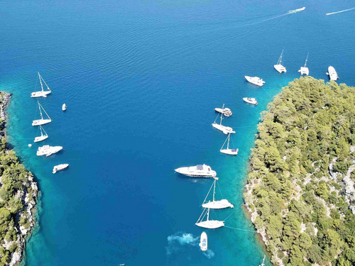        - 12  -  - 5  / 4  2026