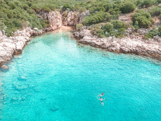 ����� � ���� � ������� ���� ������ ������ - ��� �� ����� � 4 ��� / 3 ������� 2026 - ����������� - ������ 15