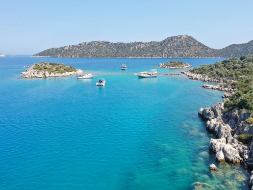 ����� � ���� � ������� ���� ������ ������ - ��� �� ����� � 4 ��� / 3 ������� 2026 - ����������� - ������ 24