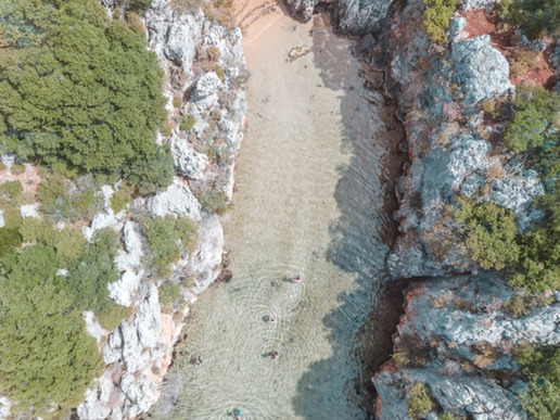 ����� � ���� � ������� ���� ������ ������ - ��� �� ����� � 4 ��� / 3 ������� 2026 - ����������� - ������ 29