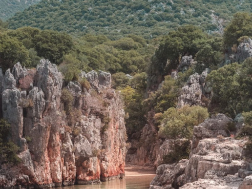 ����� � ���� � ������� ���� ������ ������ - ��� �� ����� � 4 ��� / 3 ������� 2026 - ����������� - ������ 30