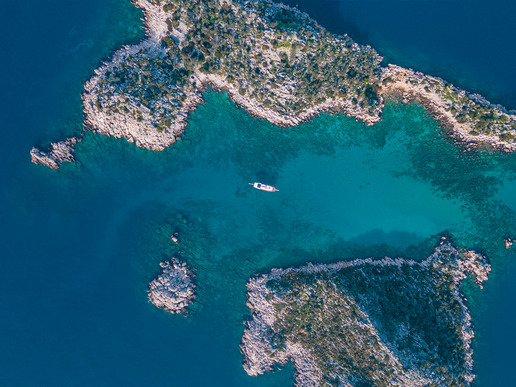 ����� � ���� � ������� ���� ��� - ������ ������ - ����� � 5 ��� / 4 ������� 2026 - ����������� - ������ 13