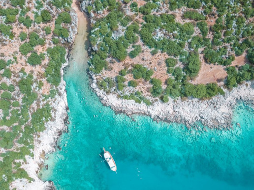 ����� � ���� � ������� ���� ��� - ������ ������ - ����� � 5 ��� / 4 ������� 2026 - ����������� - ������ 14