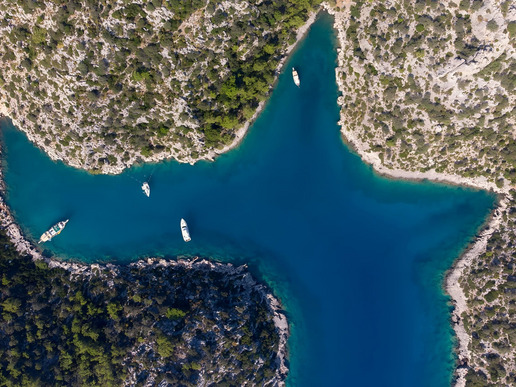 ����� � ���� � ������� ���� ��� - ������ ������ - ����� � 5 ��� / 4 ������� 2026 - ����������� - ������ 18