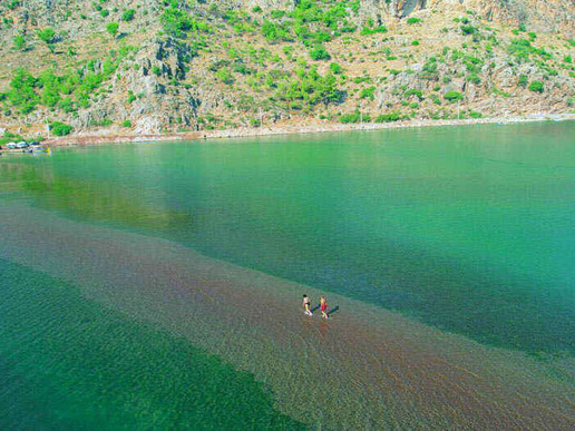 ����� � ���� � ������� ���� �������� - �������� � 8 ��� / 7 ������� 2026 - ����������� - ������ 16