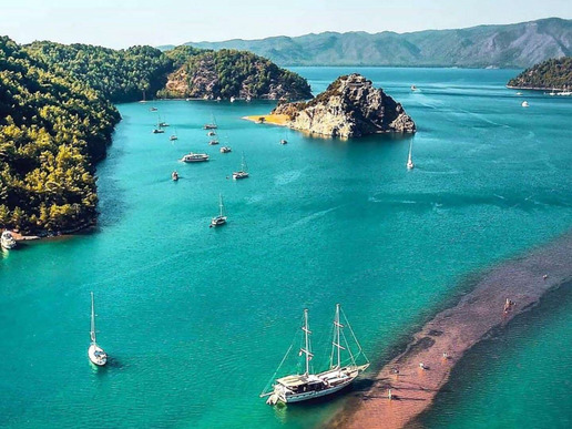 ����� � ���� � ������� ���� �������� - �������� � 8 ��� / 7 ������� 2026 - ����������� - ������ 21