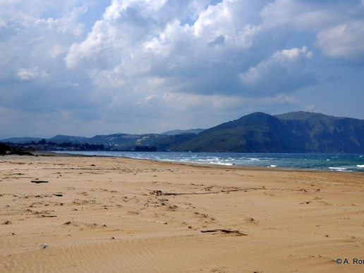 ������ �������