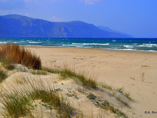 ������ �������