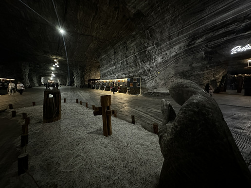 ����� ���� ������ ����