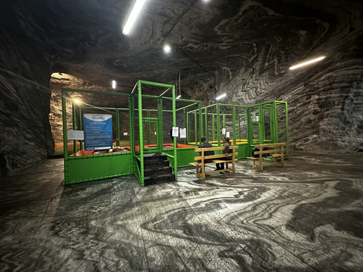 ����� ���� ������ ����