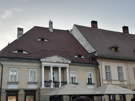 ����� - ������ � �����